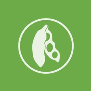 Super Combo de Cursos Mais Soja